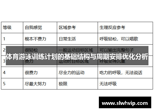 体育游泳训练计划的基础结构与周期安排优化分析