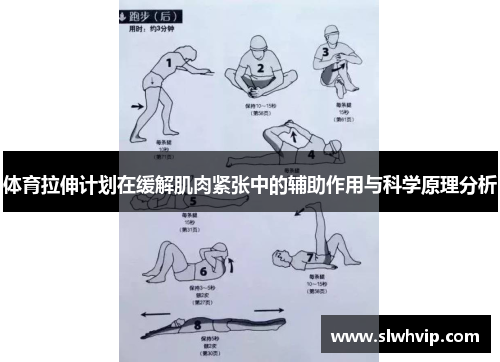 体育拉伸计划在缓解肌肉紧张中的辅助作用与科学原理分析